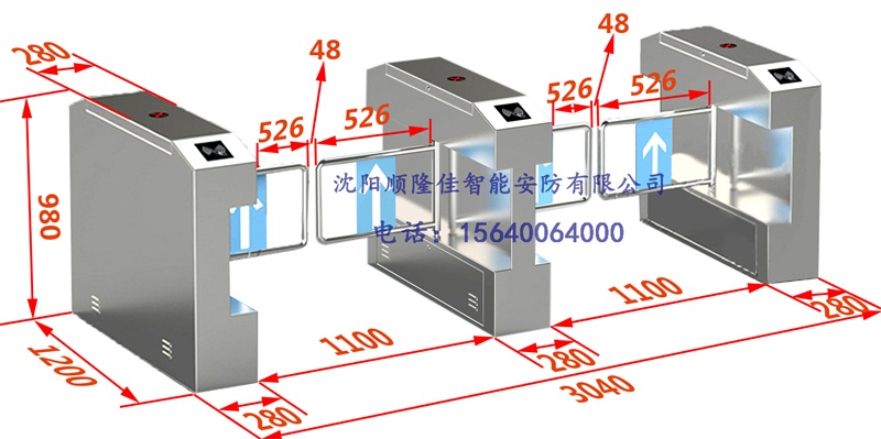 摆闸.jpg